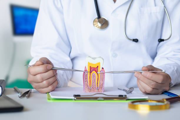 Best Emergency Root Canal Treatment in Lakin, KS